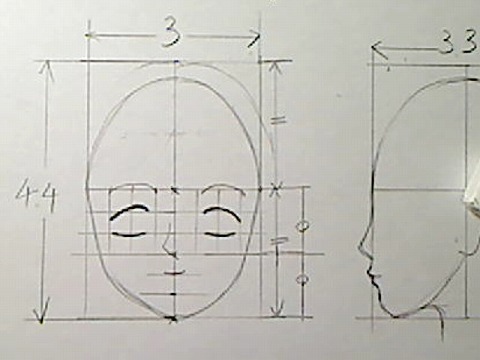 目、鼻、口の位置、正面図