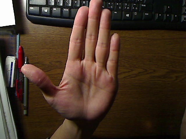 第2指と第3指をめいいっぱい開いた関節の動き