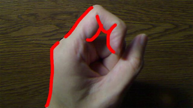 指の形、正面図