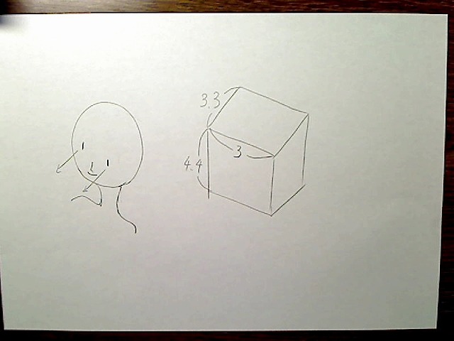 頭部BOXの各辺の絶対長さ。