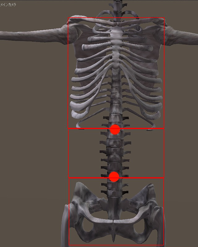 関節点の位置。骨で表示。