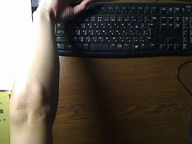 肘の中央の太い骨の突起。自分の腕。